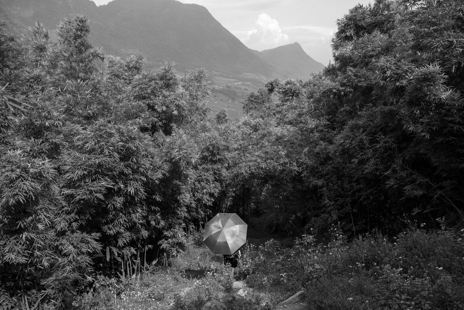 DSC_1362_Blurb_Print